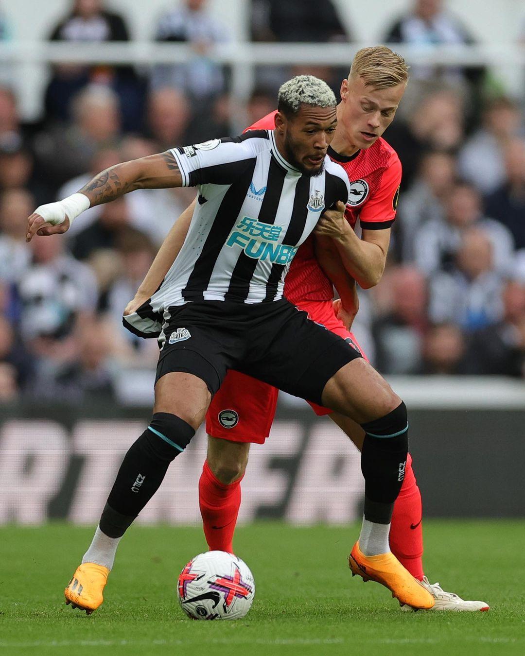 让它在搜索 让它在搜索