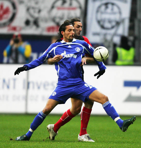 也为各国各 也为各国各